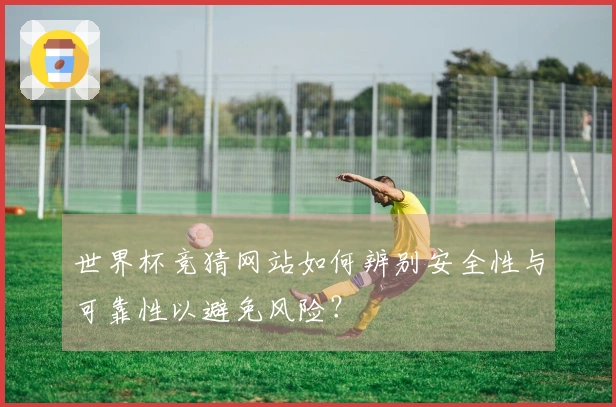 世界杯竞猜网站如何辨别安全性与可靠性以避免风险？