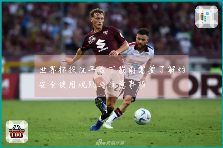 世界杯投注平台下载前需要了解的安全使用规则与注意事项