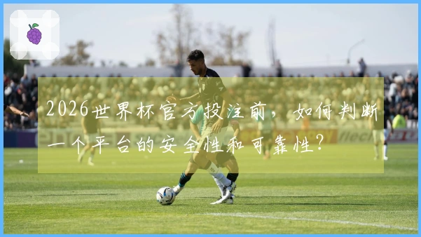 2026世界杯官方投注前，如何判断一个平台的安全性和可靠性？