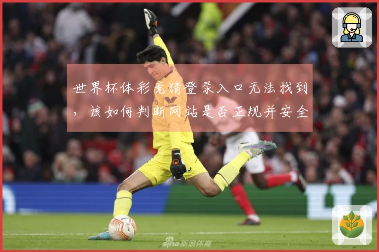 世界杯体彩竞猜登录入口无法找到，该如何判断网站是否正规并安全下注？