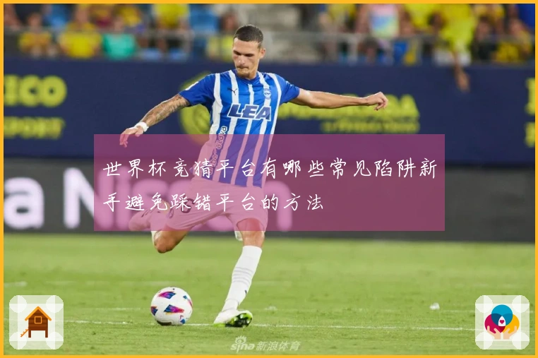 世界杯竞猜平台有哪些常见陷阱新手避免踩错平台的方法