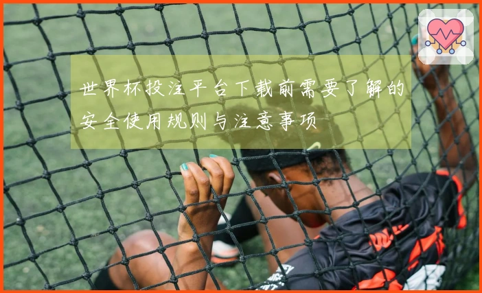 世界杯投注平台下载前需要了解的安全使用规则与注意事项
