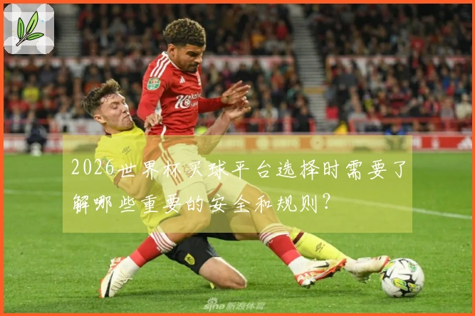 2026世界杯买球平台选择时需要了解哪些重要的安全和规则？
