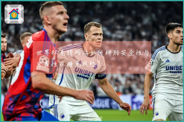 世界杯竞猜网站如何辨别安全性与可靠性以避免风险？