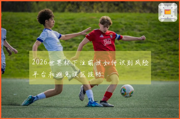 2026世界杯下注前该如何识别风险平台和避免误区技巧